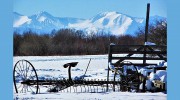 Central Montana Real Estate